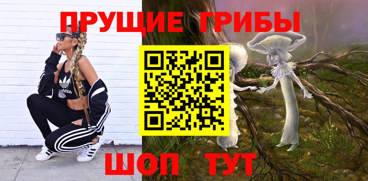 Псилоцибиновые грибы Psilocybe Лиски